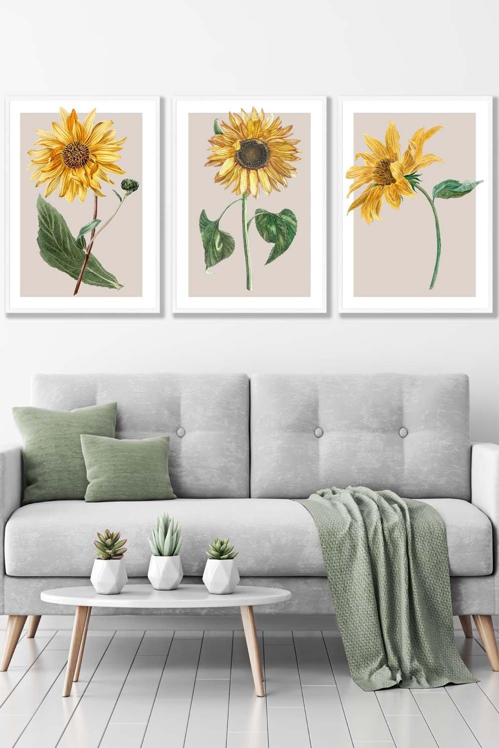 Set of 3 White Framed Vintage Sunflowers on Beige Wall Art